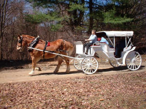 horse-carriage.jpg